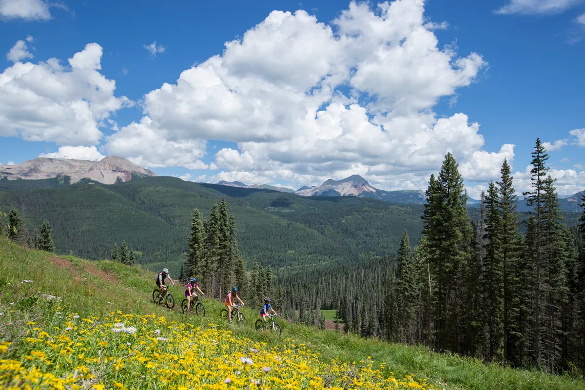 A sweeping view of a mountain landscape dotted with wildflowers, with bicyclists pedaling along a trail under a dramatic sky. The vibrant natural setting suggests outdoor adventure and a strong connection to the tranquil beauty of the surrounding area.